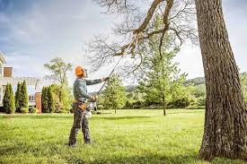 Reliable Lakeview, NY Tree Removal and Landscaping Services Solutions